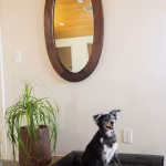 3c643000-ae4a-4ba4-8ec5-aaf96fc792c3