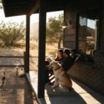 74d5ce65-de54-4301-985d-6c836148b0cf